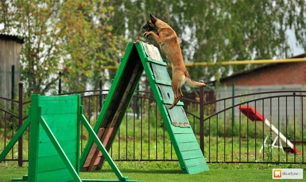 Жкх новости из госдумы