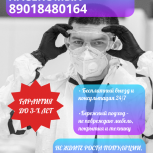 Дезинфекция/дезинсекция/дератизация/дезодорация, Екатеринбург