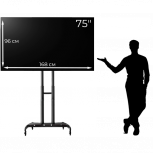 Аренда телевизора, прокат плазмы 50", 55", 65",75", Екатеринбург