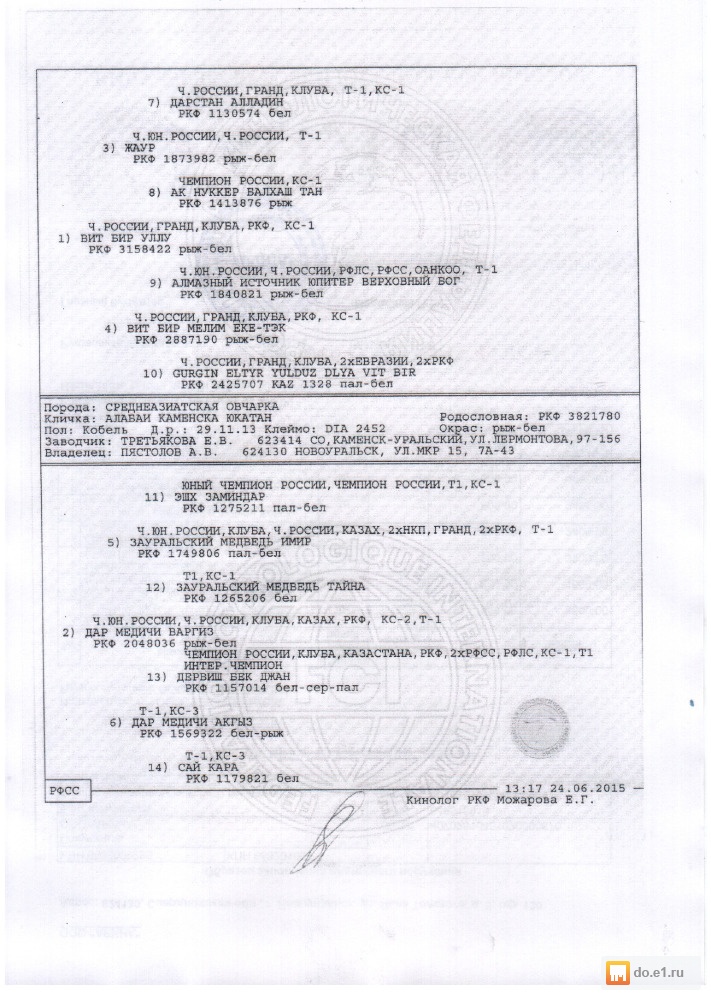 экспортная родословная ркф 2021. родословная собаки бланк. родословная укф германия. оформление родословной для биглей. родословная собаки ркф 2021.