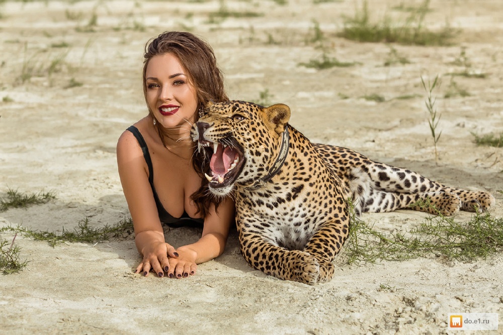 фотосессия с леопардом название